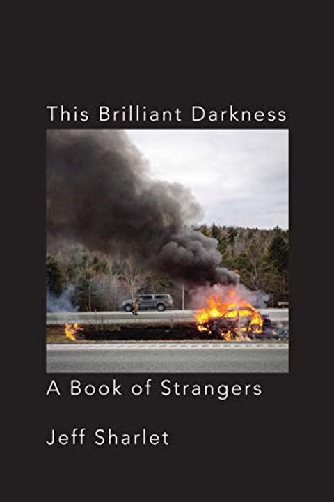 This Brilliant Darkness book cover