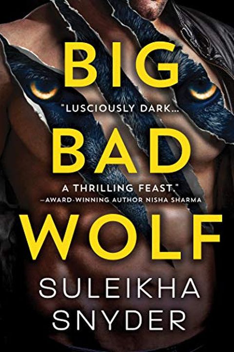 Big Bad Wolf book cover