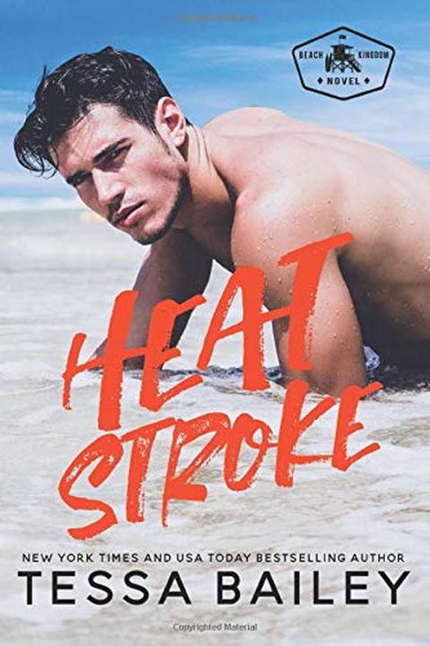 Heat Stroke book cover