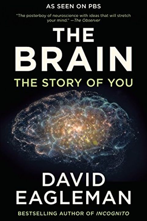 The Brain book cover