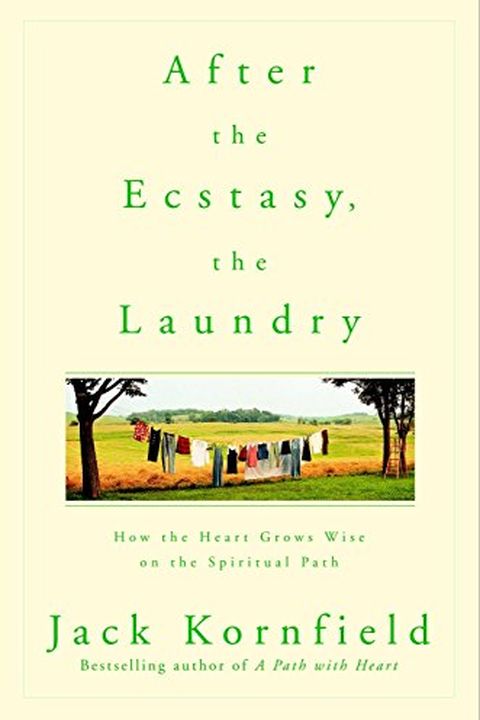 After the Ecstasy, the Laundry book cover
