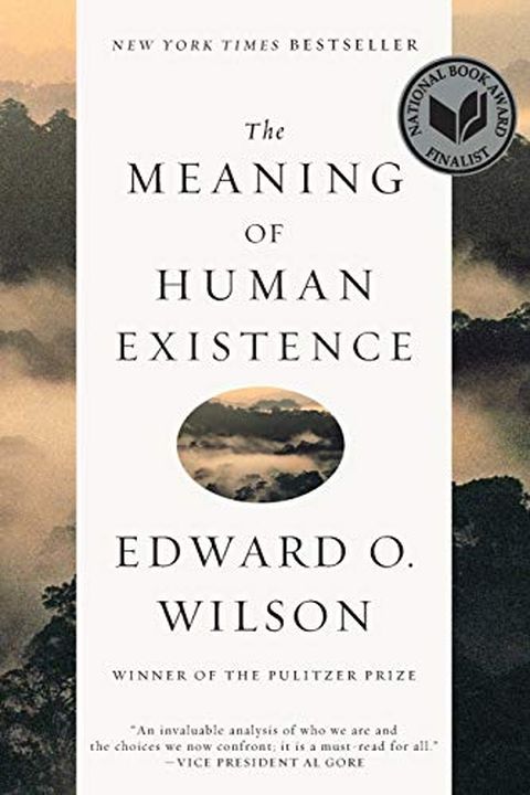 The Meaning of Human Existence book cover