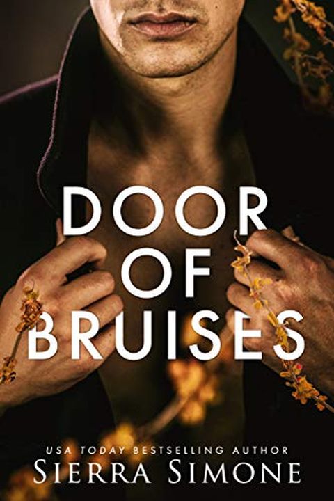 Door of Bruises book cover