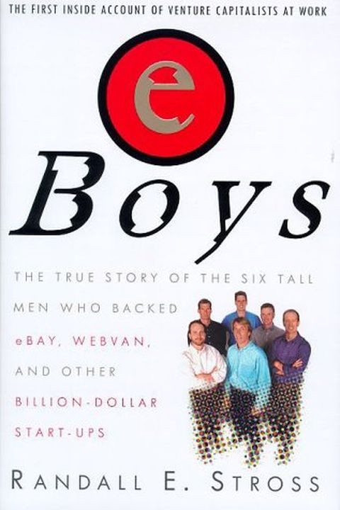 eBoys book cover