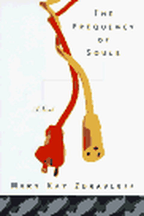 The Frequency of Souls book cover