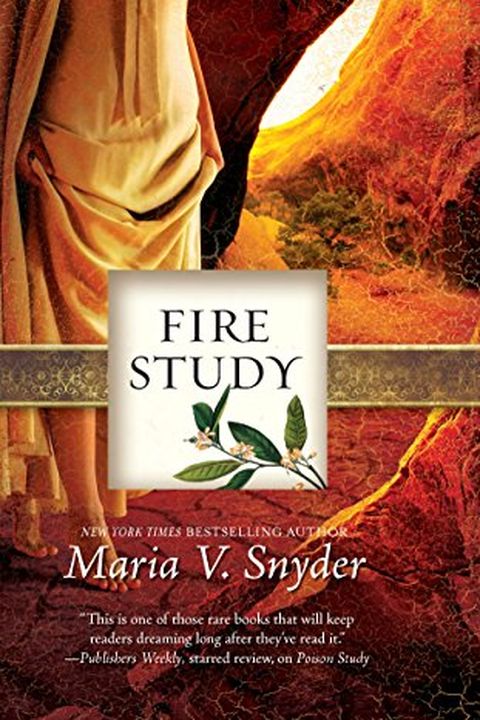 Fire Study book cover