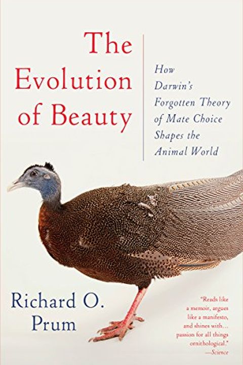 The Evolution of Beauty book cover