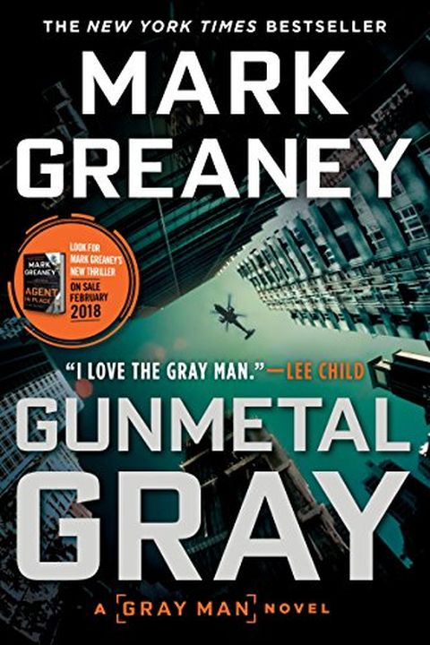 Gunmetal Gray book cover