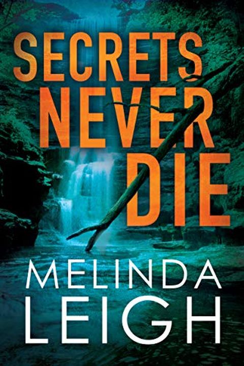 Secrets Never Die book cover