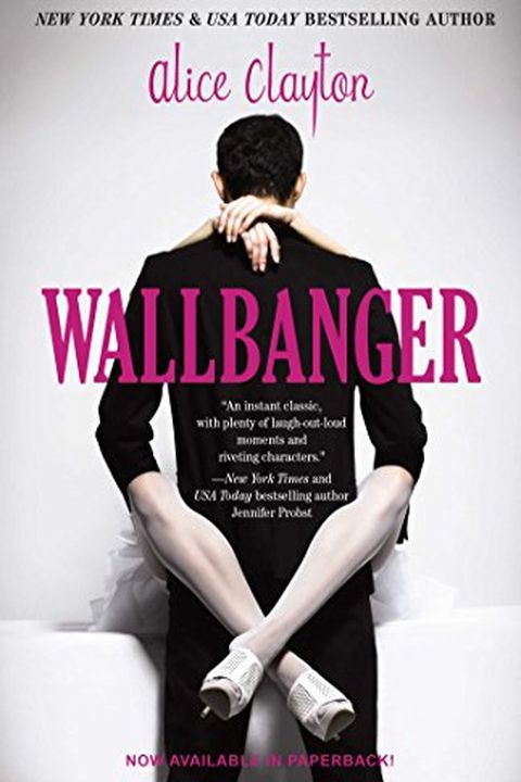 Wallbanger book cover