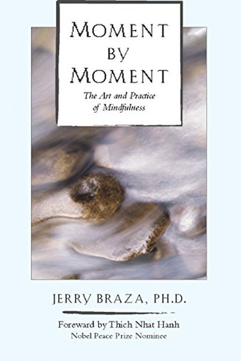 Moment by Moment book cover