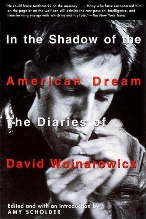 In the Shadow of the American Dream book cover
