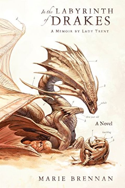 In the Labyrinth of Drakes book cover