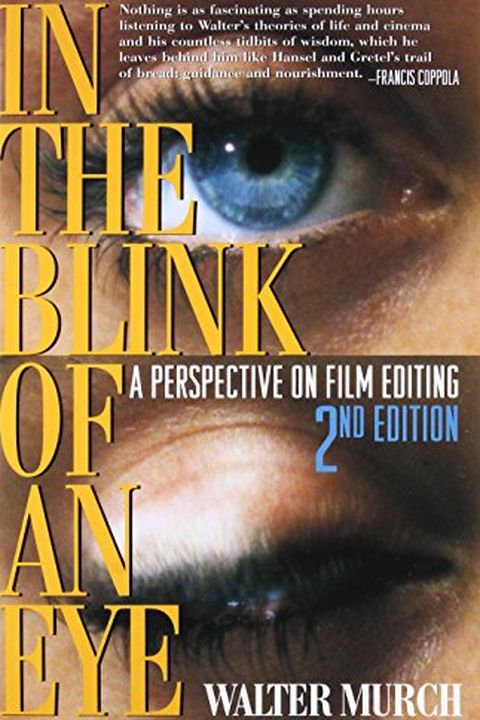 In the Blink of an Eye book cover