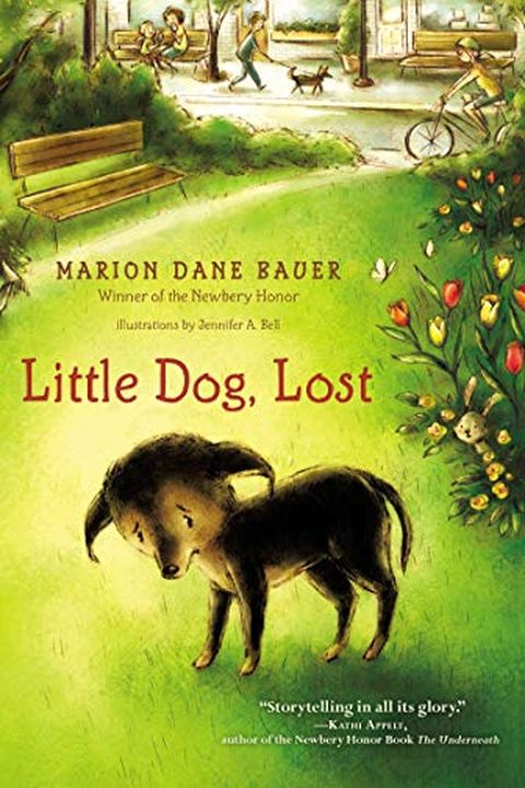 Little Dog, Lost book cover