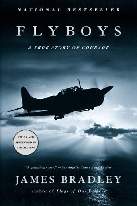 Flyboys book cover