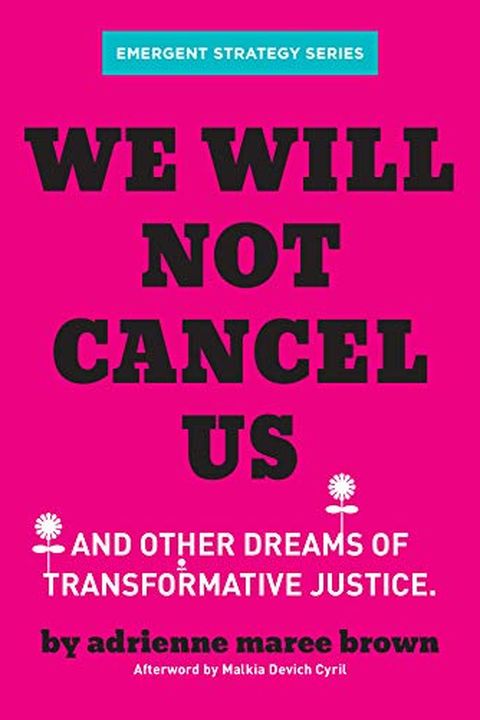 We Will Not Cancel Us book cover