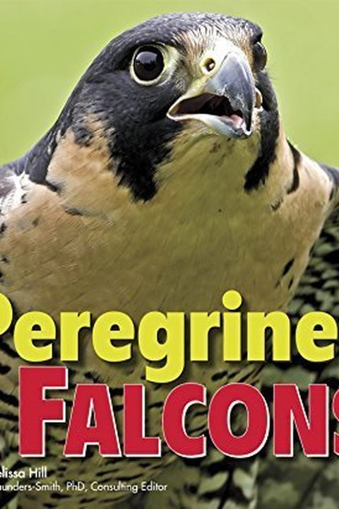 Peregrine Falcons book cover
