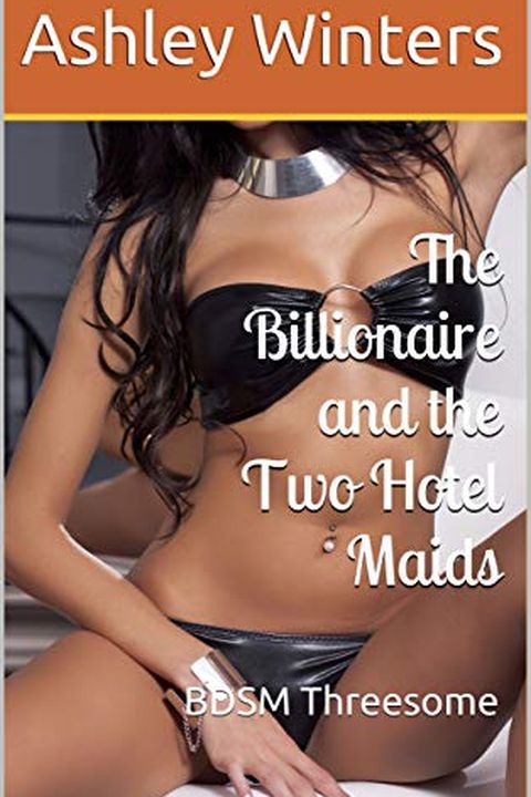The Billionaire and the Two Hotel Maids book cover