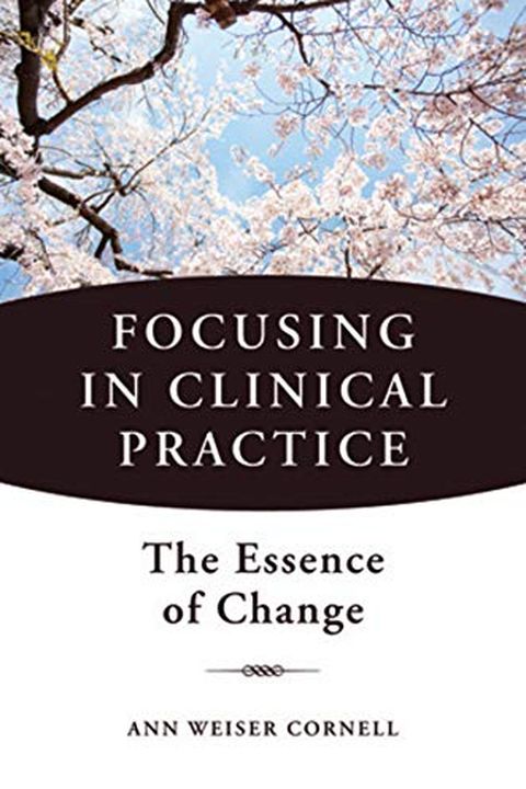 Focusing in Clinical Practice book cover