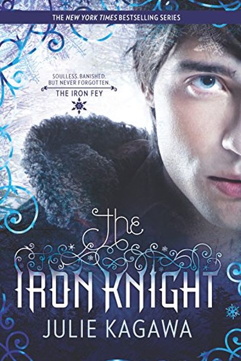 The Iron Knight book cover