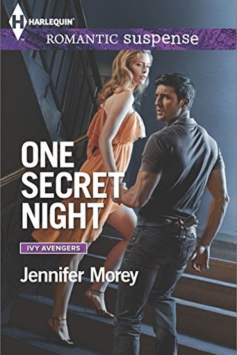 One Secret Night book cover