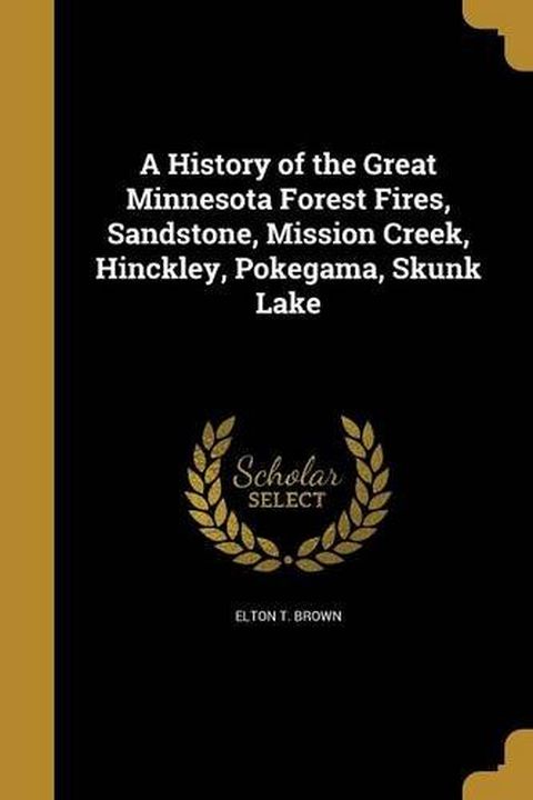 A History of the Great Minnesota Forest Fires book cover