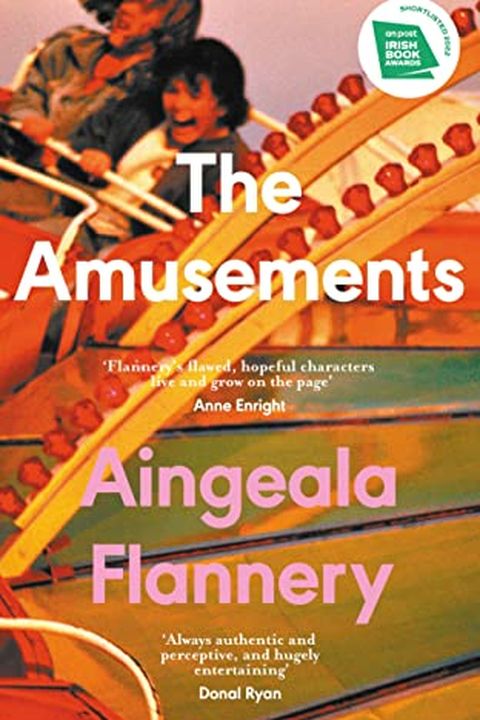 The Amusements book cover