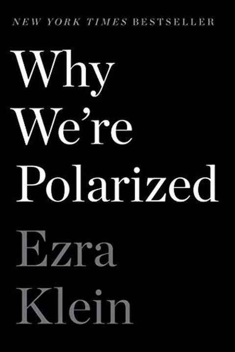 Why We're Polarized book cover