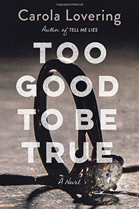 Too Good to Be True book cover