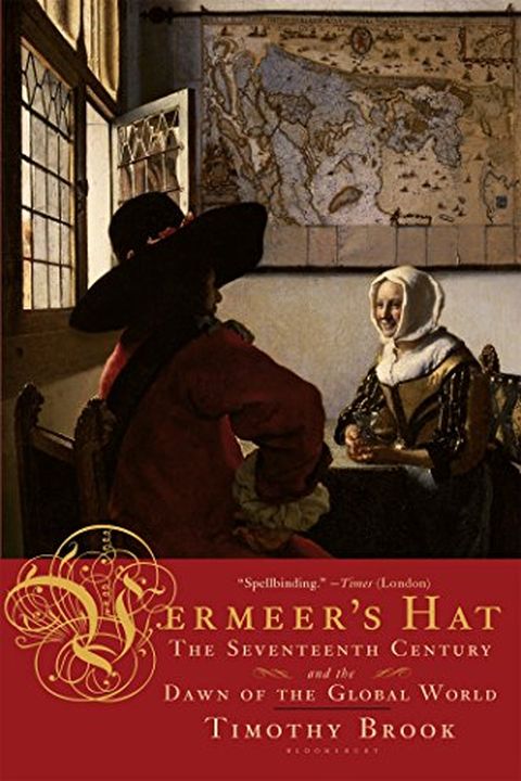 Vermeer's Hat book cover