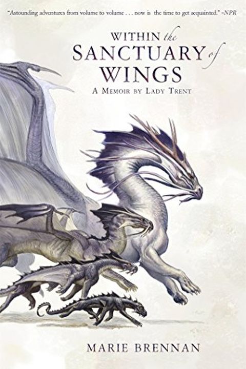Within the Sanctuary of Wings book cover