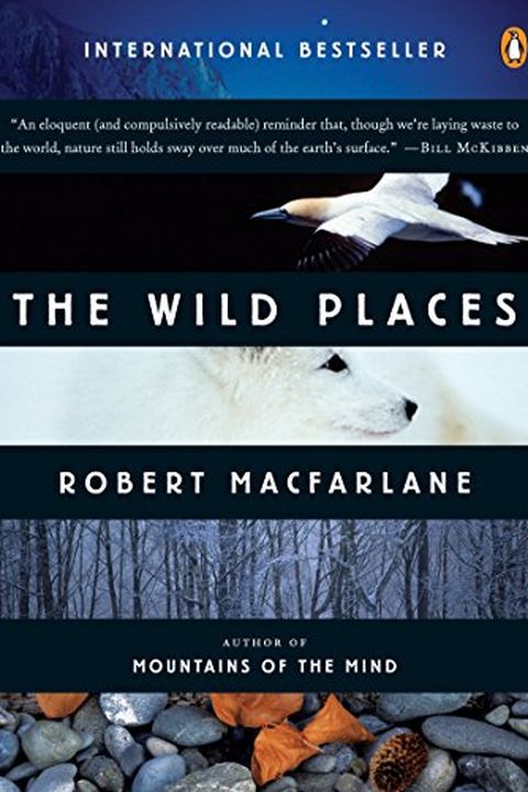 The Wild Places book cover