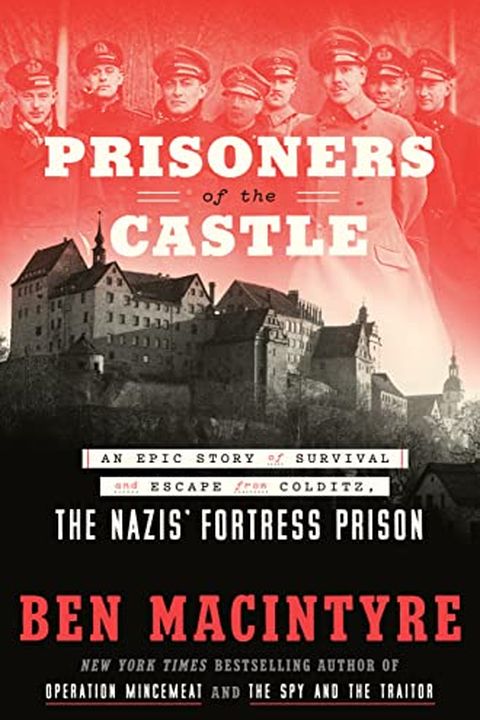Prisoners of the Castle book cover