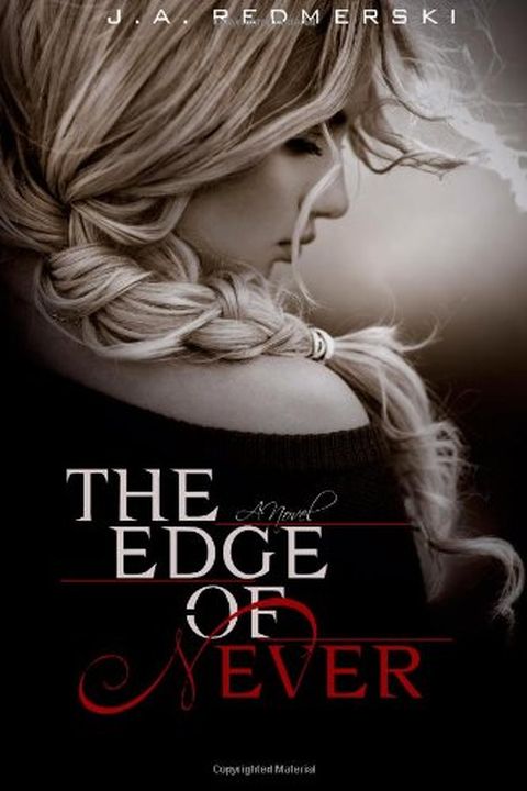 The Edge of Never book cover