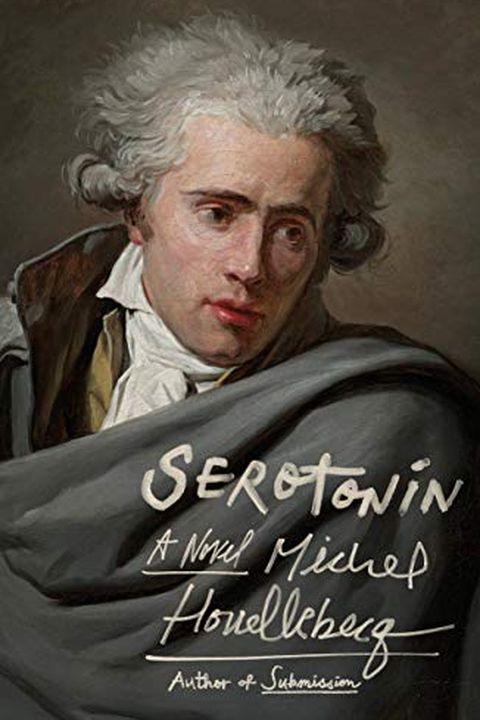 Serotonin book cover