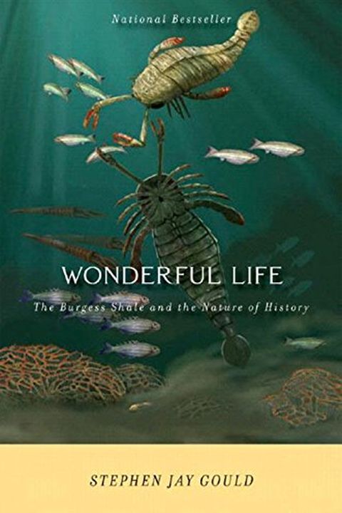 Wonderful Life book cover