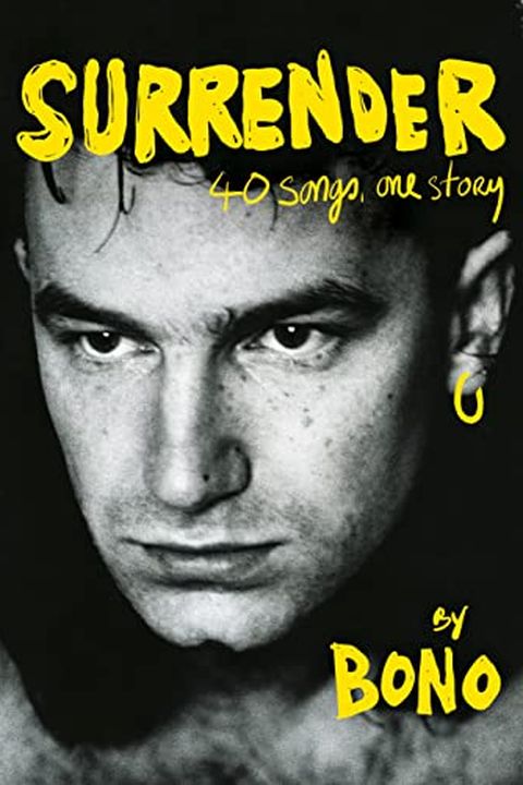 Surrender book cover