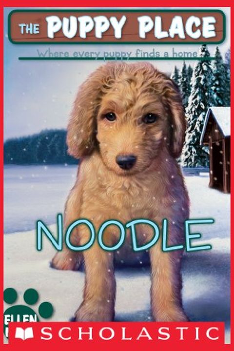 Noodle book cover
