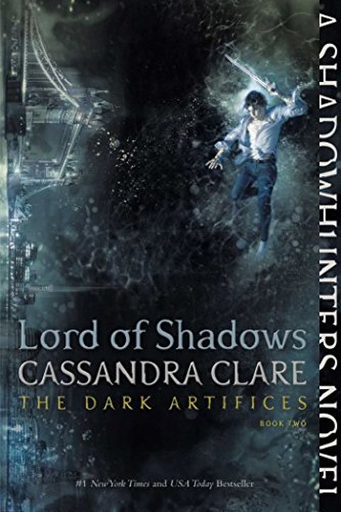 Lord of Shadows book cover