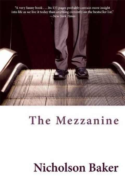 The Mezzanine book cover