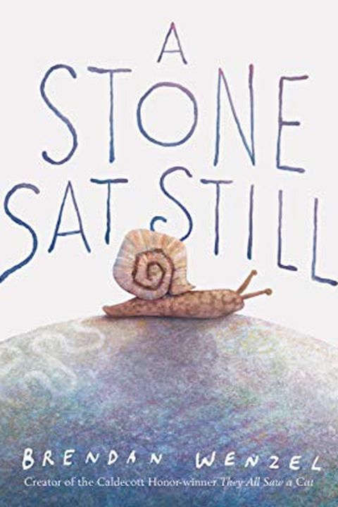 A Stone Sat Still book cover