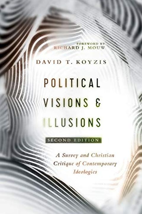 Political Visions & Illusions book cover