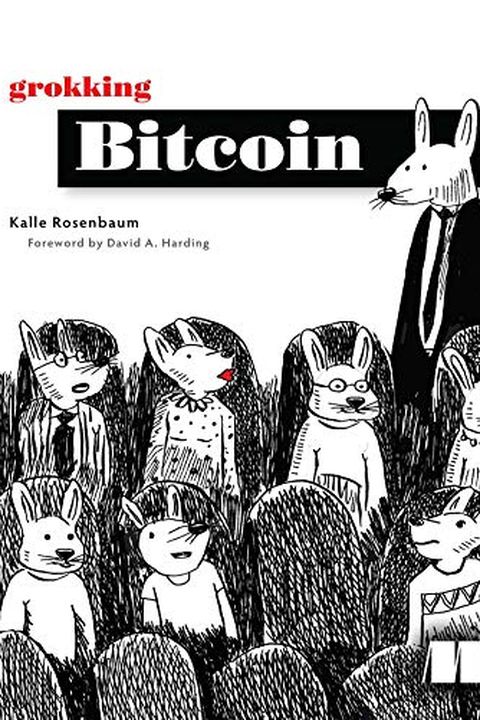 Grokking Bitcoin book cover