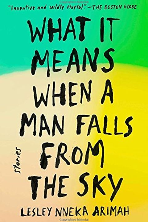 What It Means When a Man Falls from the Sky book cover