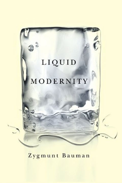 Liquid Modernity book cover