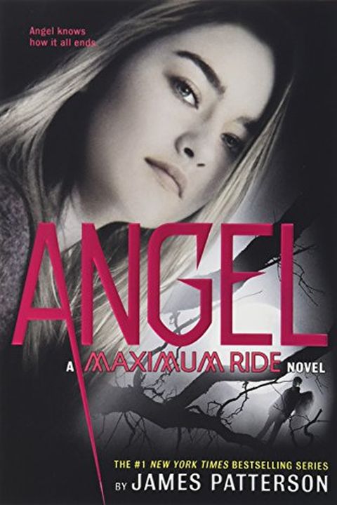 Angel book cover
