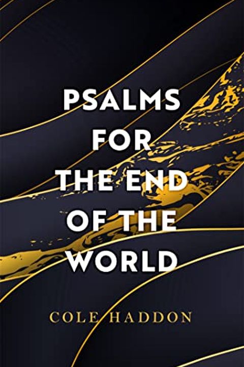 Psalms For The End Of The World book cover