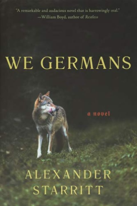 We Germans book cover