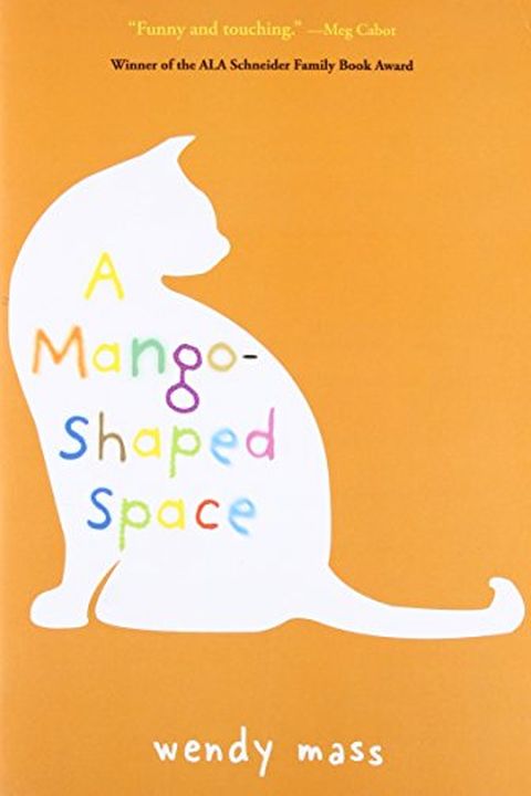 A Mango-Shaped Space book cover